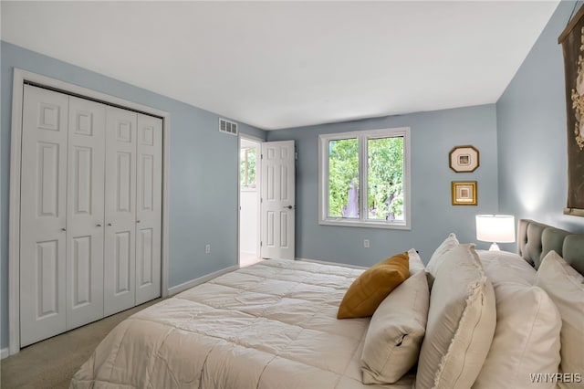 234 Misty Ln, Amherst, NY 14051 - bedroom featuring a closet, baseboards, and carpet