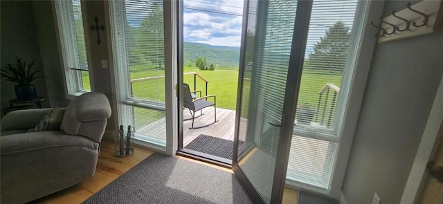 2185 Hog Mountain Rd, Middletown, NY 12455 - entryway featuring light wood-type flooring and a mountain view
