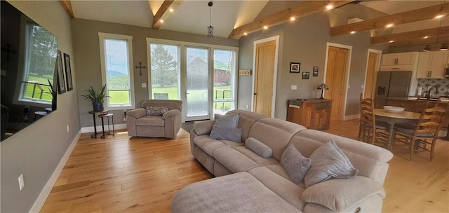 2185 Hog Mountain Rd, Middletown, NY 12455 - living room with light wood finished floors and baseboards