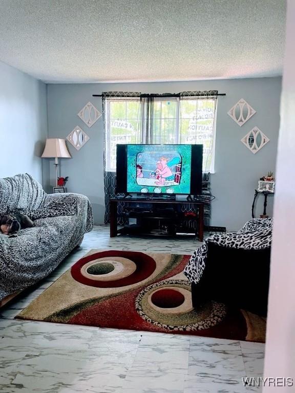6954 Academy Ln, Lockport-Town, NY 14094 - living area with a textured ceiling