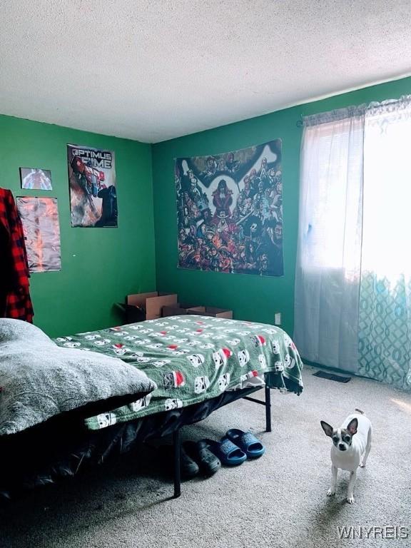 6954 Academy Ln, Lockport-Town, NY 14094 - bedroom with a textured ceiling and carpet floors