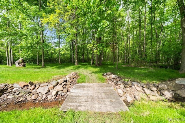 2350 Quaker Rd, Hartland, NY 14067 - view of green lawn