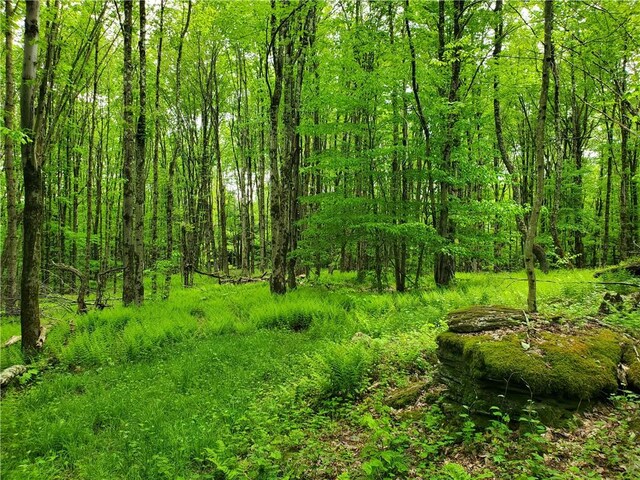 500 Valley View Rd, Walton, NY 13856 - photo 44