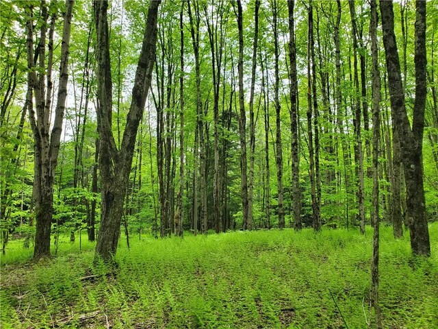 500 Valley View Rd, Walton, NY 13856 - photo 45