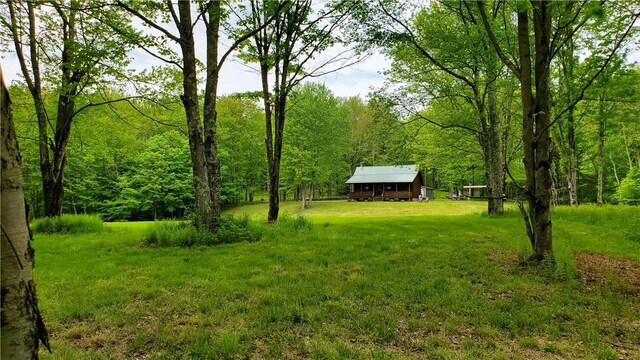 500 Valley View Rd, Walton, NY 13856 - photo 47