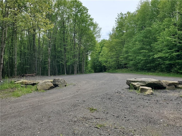 500 Valley View Rd, Walton, NY 13856 - photo 36