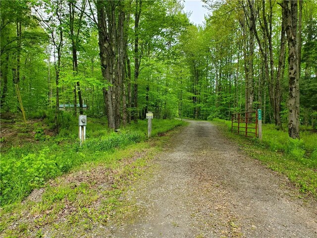 500 Valley View Rd, Walton, NY 13856 - photo 37