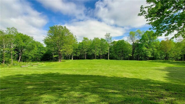 500 Valley View Rd, Walton, NY 13856 - photo 39
