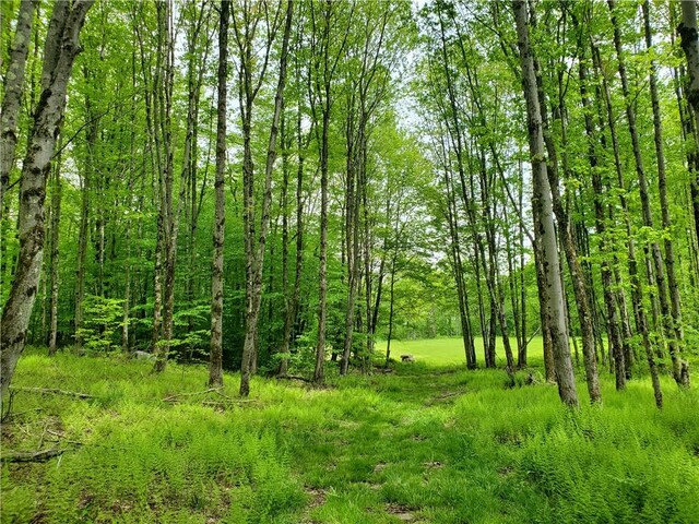 500 Valley View Rd, Walton, NY 13856 - photo 40