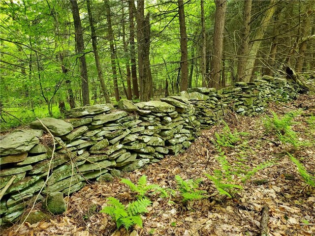 500 Valley View Rd, Walton, NY 13856 - photo 42
