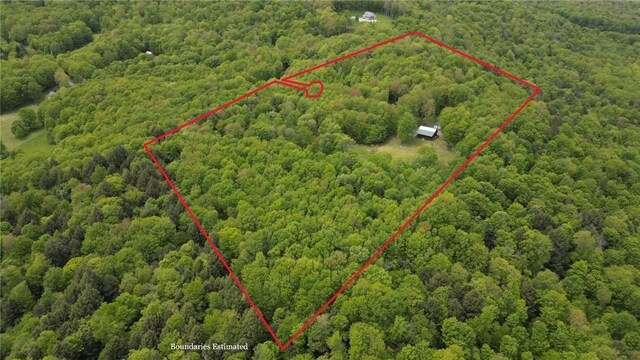 500 Valley View Rd, Walton, NY 13856 - photo 6