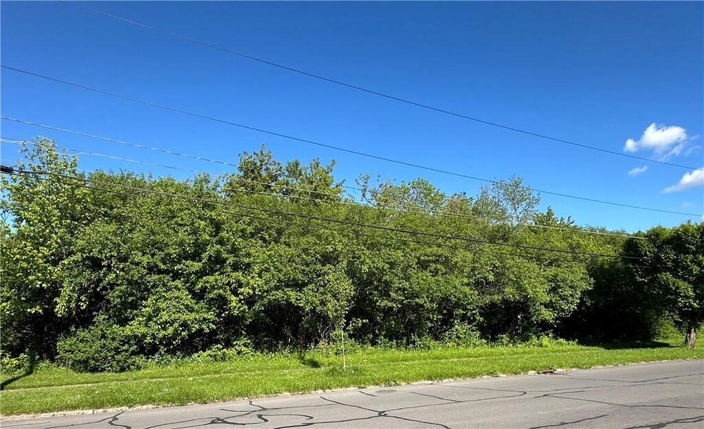 110-114 Garrow St, Auburn, NY 13021 - photo 3
