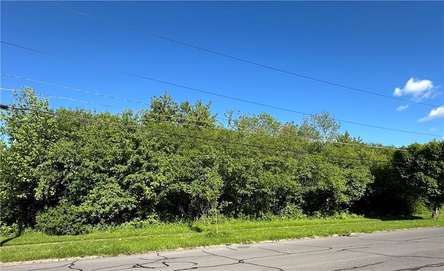 110-114 Garrow St, Auburn, NY 13021 - photo 3