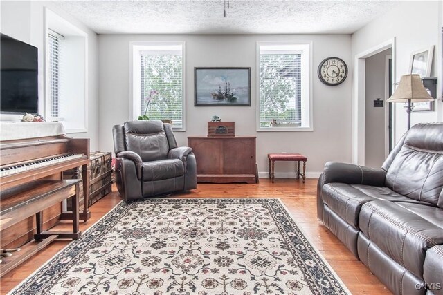 24401 Cheever Rd, Pamelia, NY 13601 - living area with light wood-style floors, a textured ceiling, and baseboards