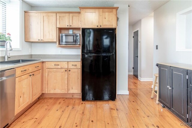 24401 Cheever Rd, Pamelia, NY 13601 - kitchen featuring appliances with stainless steel finishes, light brown cabinets, a sink, and light countertops