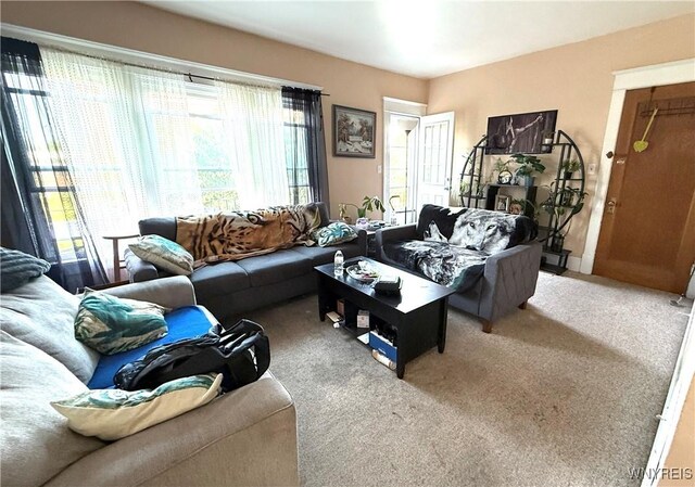 46 Cunard Rd, Buffalo, NY 14216 - view of carpeted living area
