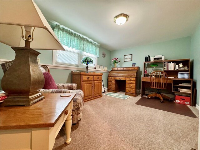 119 Park Ter, Big Flats, NY 14845 - office with light colored carpet