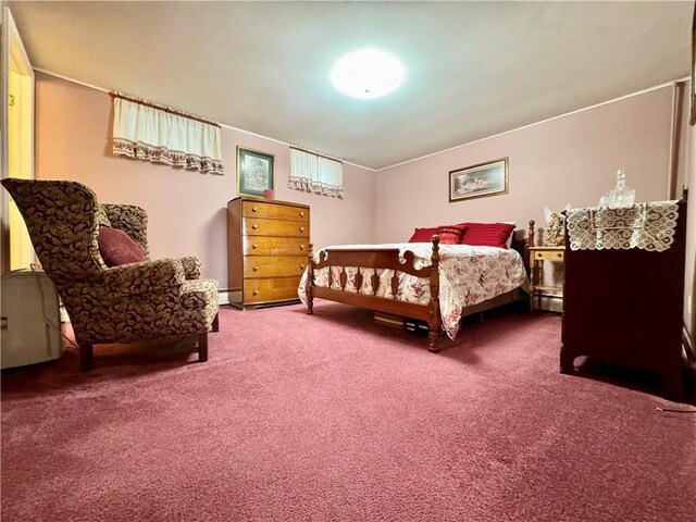 119 Park Ter, Big Flats, NY 14845 - bedroom featuring carpet floors