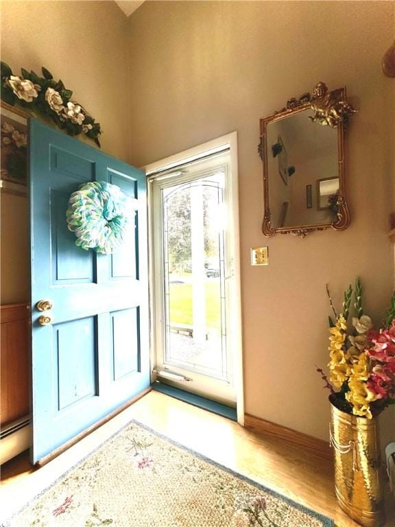 119 Park Ter, Big Flats, NY 14845 - doorway to outside featuring wood finished floors and baseboard heating