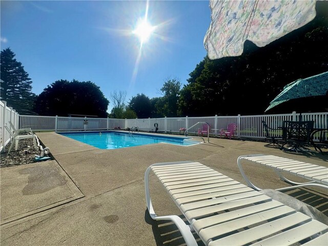 119 Park Ter, Big Flats, NY 14845 - community pool featuring a patio area and a fenced backyard