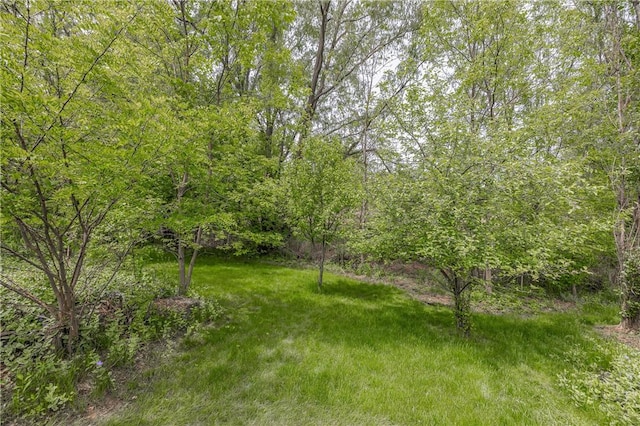 1108 Brick Landing Pl, Webster, NY 14580 - view of yard with a forest view