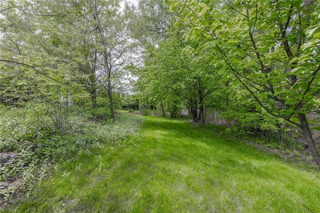 1108 Brick Landing Pl, Webster, NY 14580 - view of yard