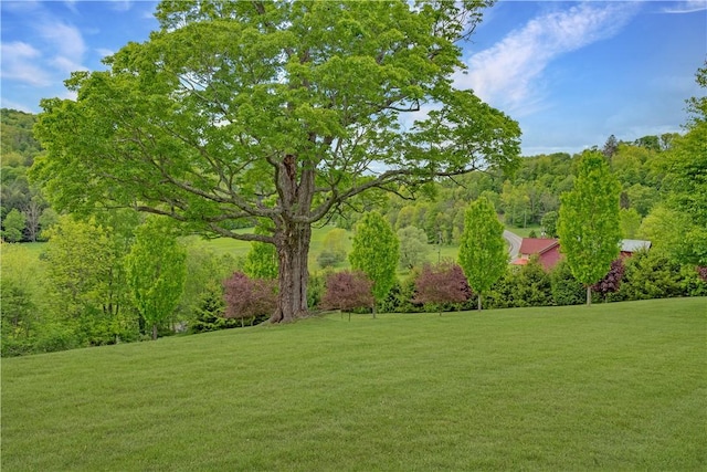2050 County Highway 6, Middletown, NY 12455 - view of grassy yard featuring a forest view