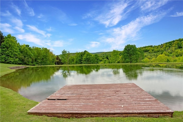 2050 County Highway 6, Middletown, NY 12455 - dock featuring a view of trees and a water view