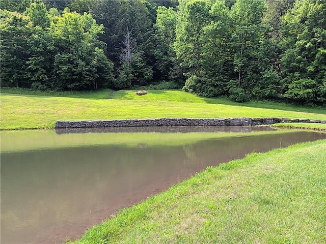 2050 County Highway 6, Middletown, NY 12455 - water view