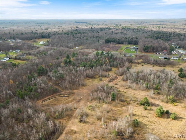 1668 US Route 11, Hastings, NY 13076 - photo 7