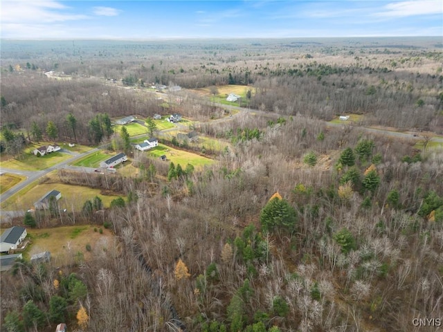 1668 US Route 11, Hastings, NY 13076 - photo 8
