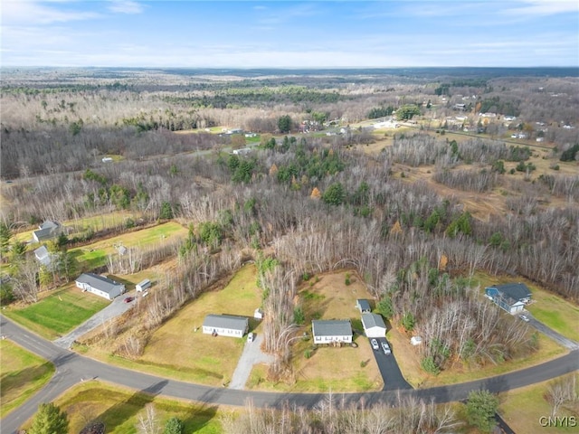 1668 US Route 11, Hastings, NY 13076 - photo 9