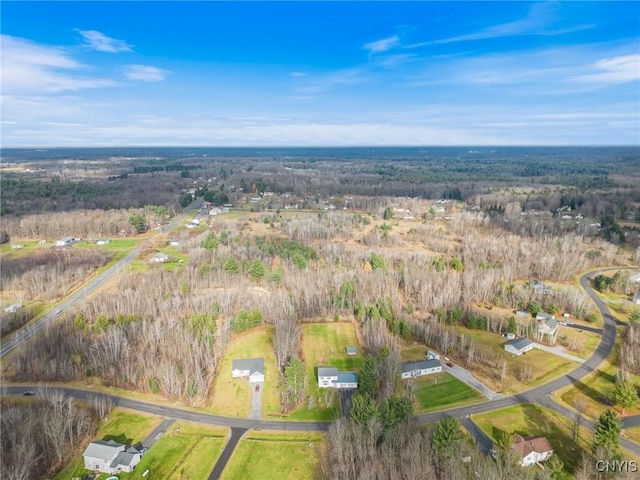 1668 US Route 11, Hastings, NY 13076 - photo 10