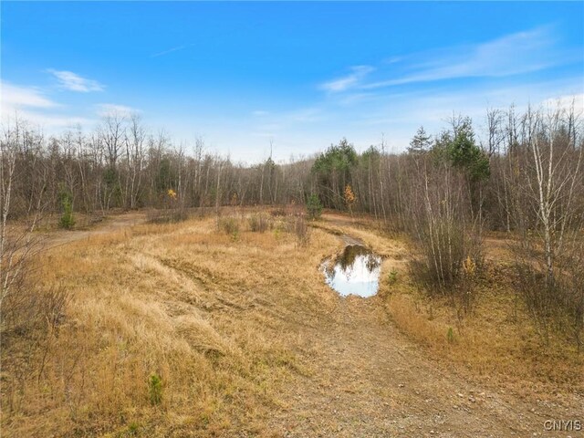 1668 US Route 11, Hastings, NY 13076 - photo 12
