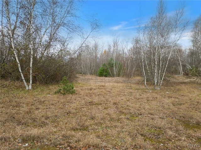 1668 US Route 11, Hastings, NY 13076 - photo 13