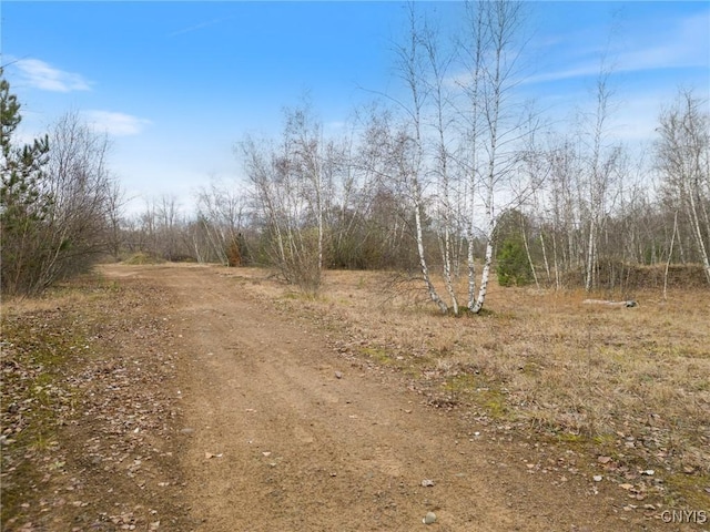 1668 US Route 11, Hastings, NY 13076 - photo 14