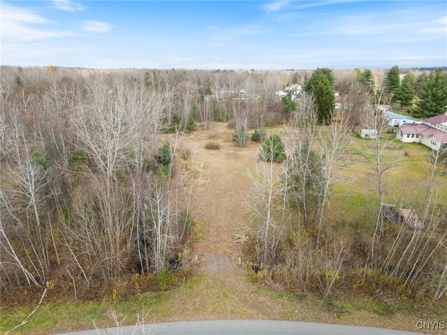 1668 US Route 11, Hastings, NY 13076 - photo 15