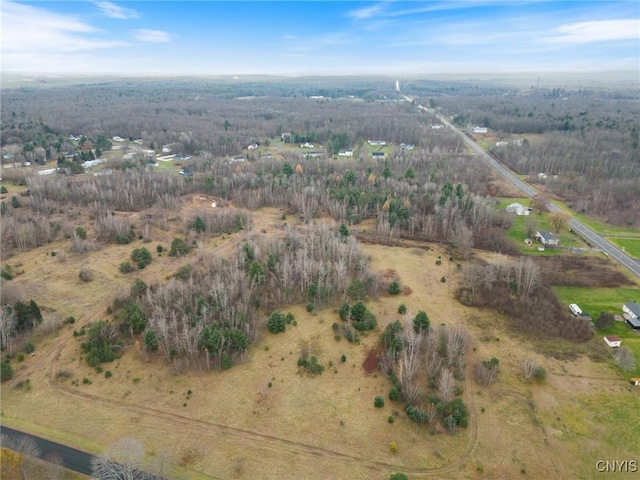 1668 US Route 11, Hastings, NY 13076 - photo 1