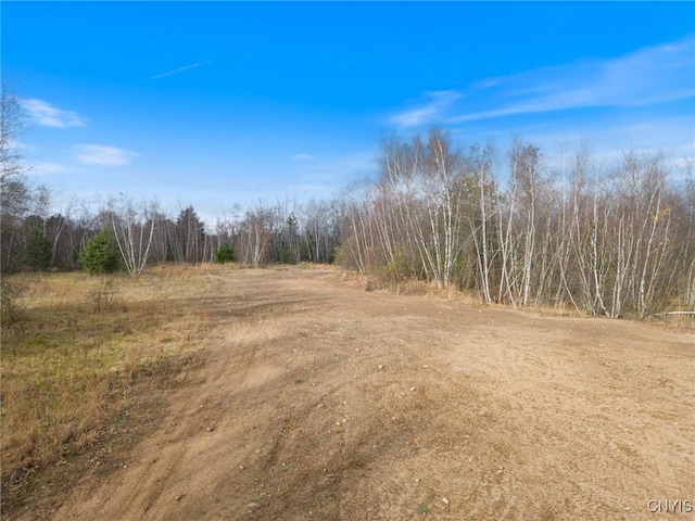 1668 US Route 11, Hastings, NY 13076 - photo 18