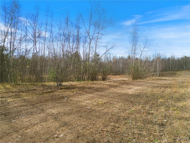 1668 US Route 11, Hastings, NY 13076 - photo 19