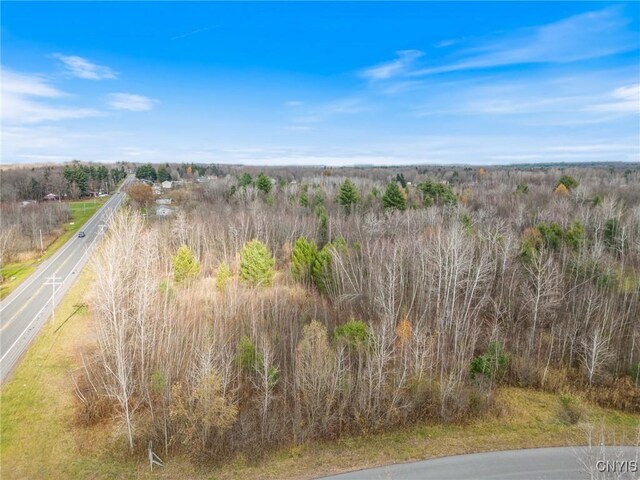 1668 US Route 11, Hastings, NY 13076 - photo 22