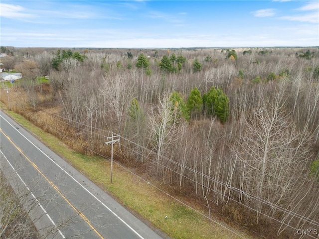 1668 US Route 11, Hastings, NY 13076 - photo 23