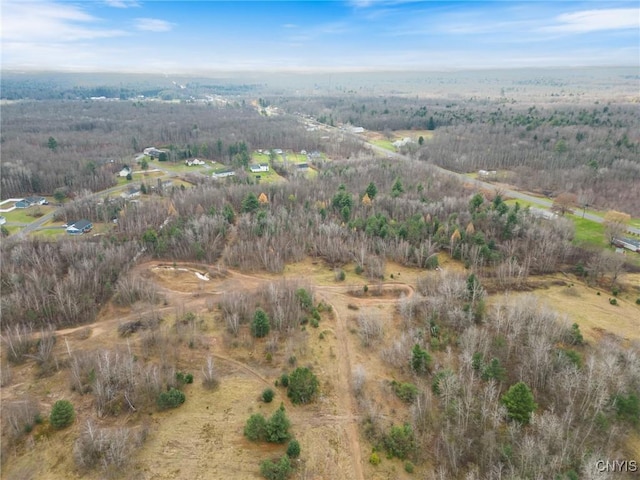 1668 US Route 11, Hastings, NY 13076 - photo 24