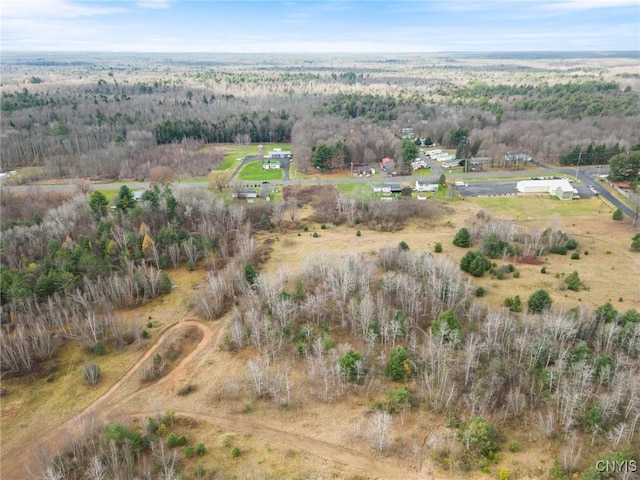 1668 US Route 11, Hastings, NY 13076 - photo 25