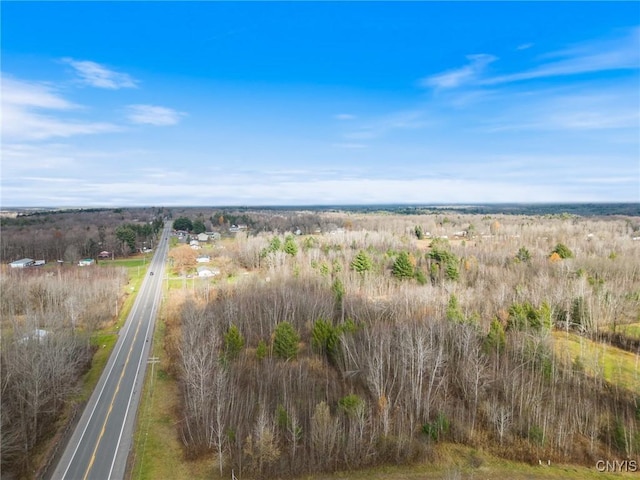 1668 US Route 11, Hastings, NY 13076 - photo 27