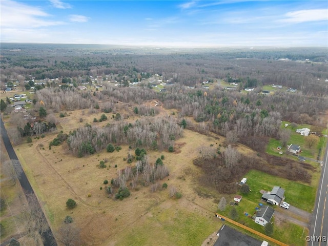 1668 US Route 11, Hastings, NY 13076 - photo 28
