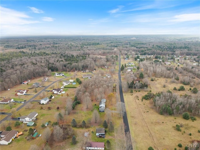 1668 US Route 11, Hastings, NY 13076 - photo 29