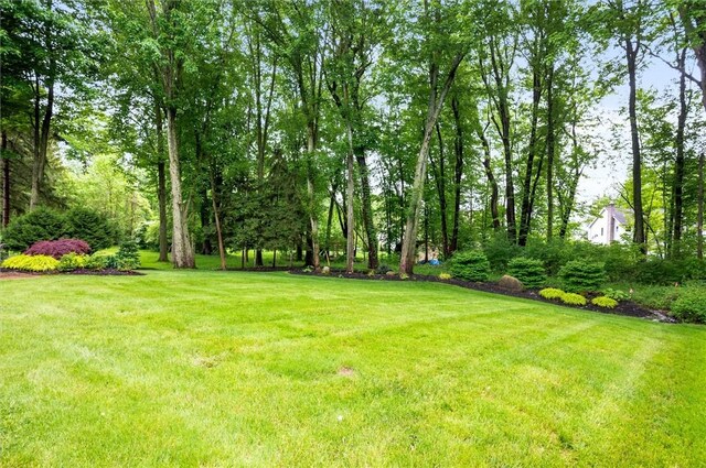 41 Pond Valley Cir, Penfield, NY 14526 - view of green lawn