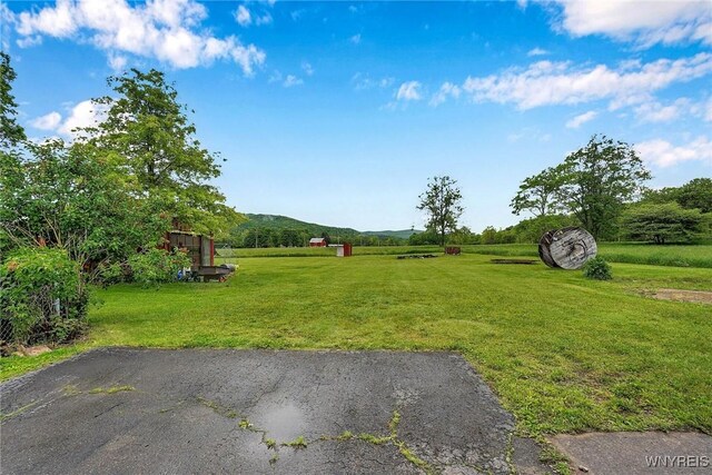 175 Salt Rising Rd, Bolivar, NY 14715 - photo 6
