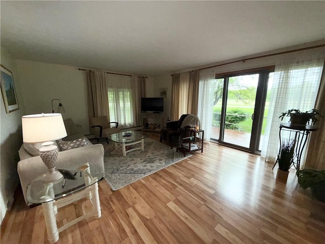 1476 Grange Hall Rd, Junius, NY 14532 - living room featuring healthy amount of natural light and light wood-style flooring